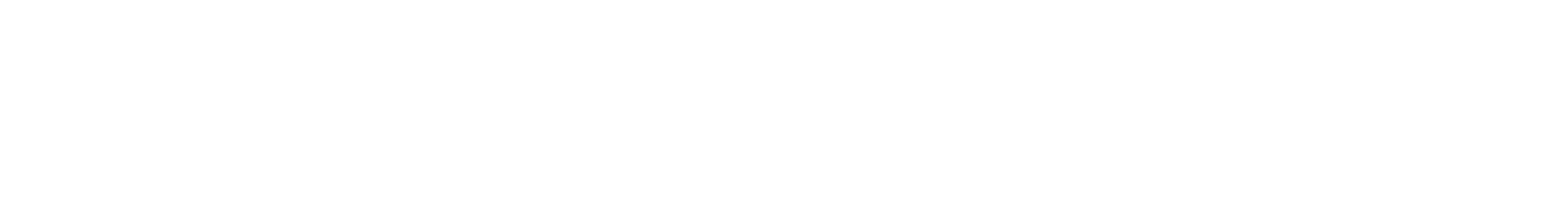LAINpur GmbH